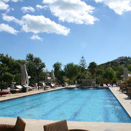 Hotel Mr Les Rotes 德尼亚 外观 照片